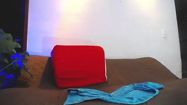 shellsy_hans webcam