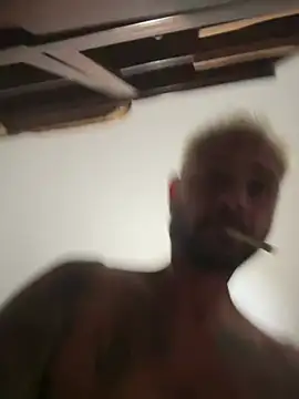 Gibiidive