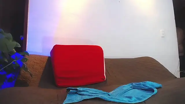 shellsy_hans webcam