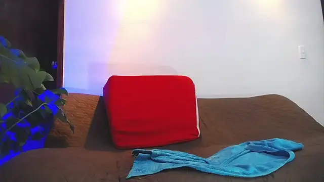shellsy_hans webcam