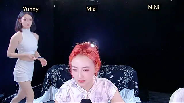 MiNi-U webcam