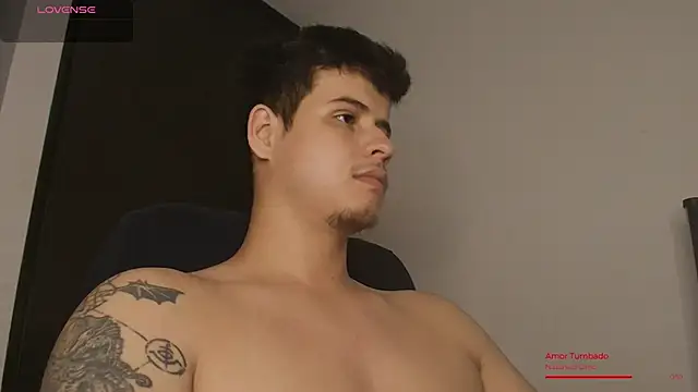 BjornSteel webcam