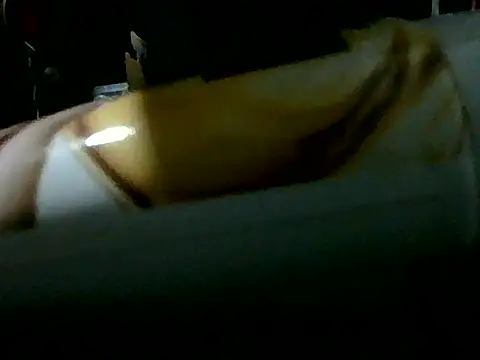 NinfomanoLOGAN webcam