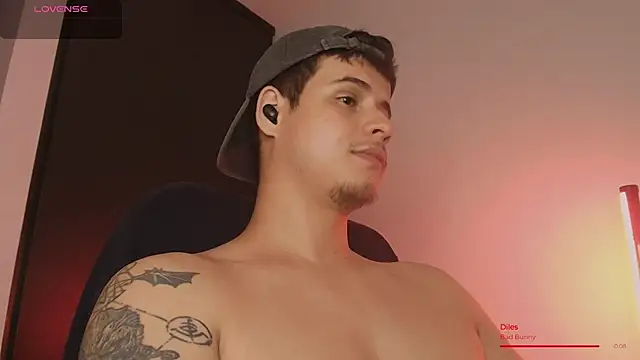 BjornSteel webcam