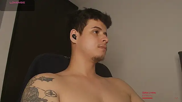BjornSteel webcam