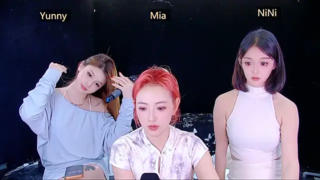 MiNi-U webcam