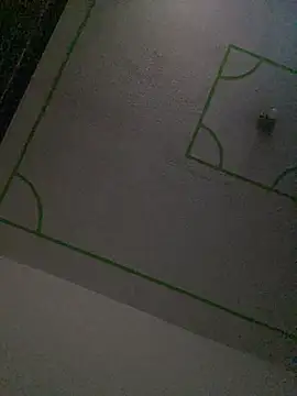 Abby-LS webcam