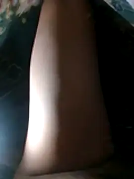 loboAudZ90 webcam