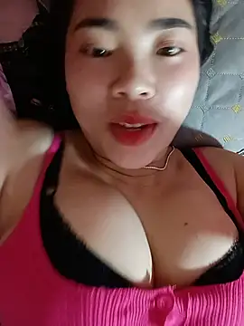 Nul_chal webcam