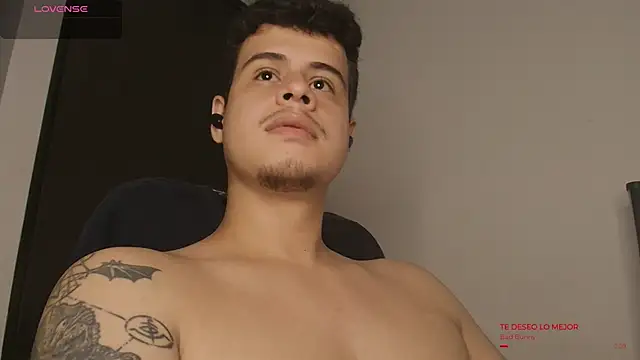 BjornSteel webcam