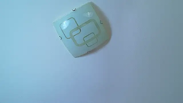 CoraVex webcam
