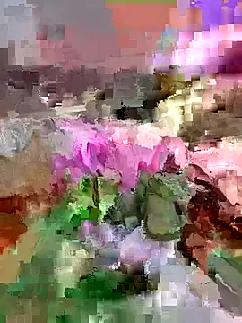 RICHI003 webcam