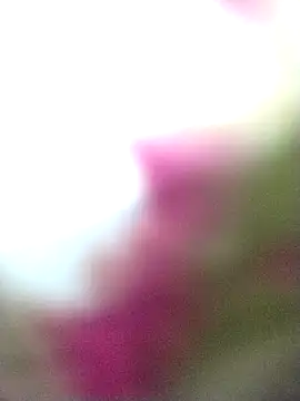 trustedcpl webcam
