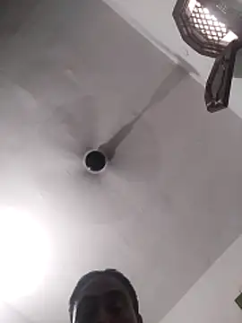 Pitercom webcam