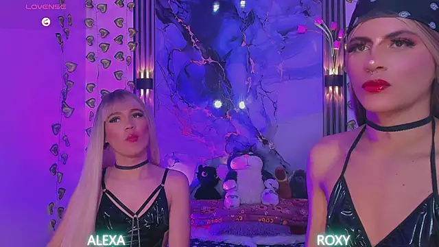 Roxy_alexa webcam
