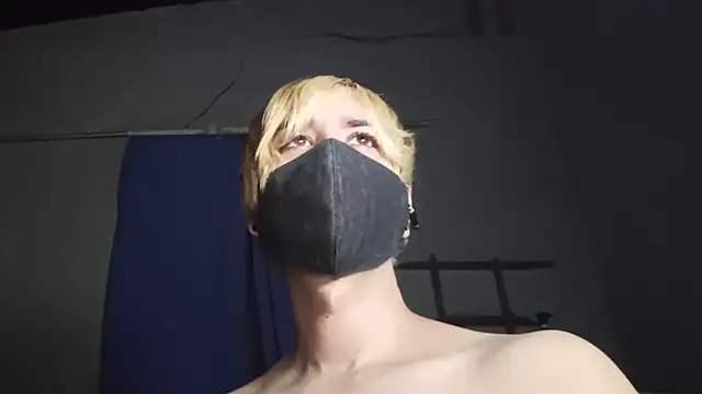 AxelRogue webcam