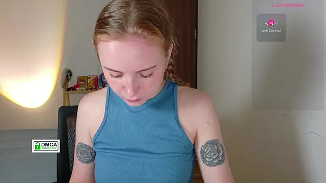RedFires webcam