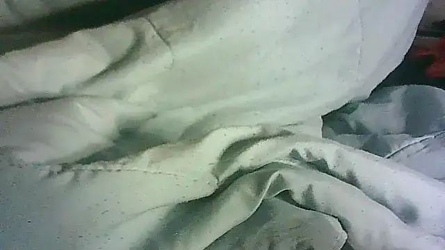 _P3RKY_IMMORTAL3_FIR3_ webcam