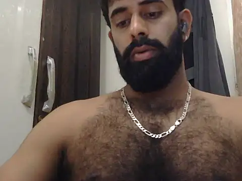 indianhairybull webcam