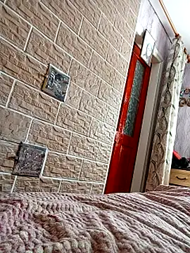 Ponka2011 webcam