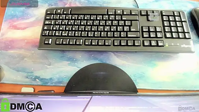 KaliStark webcam