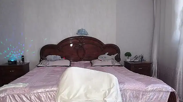 Batari webcam