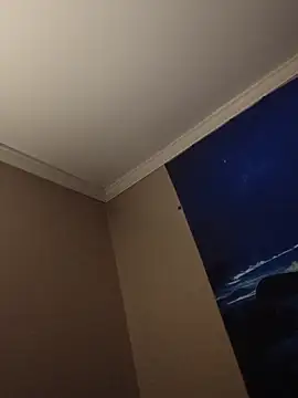 ReallyReallyReal webcam