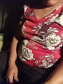 Ip34 webcam