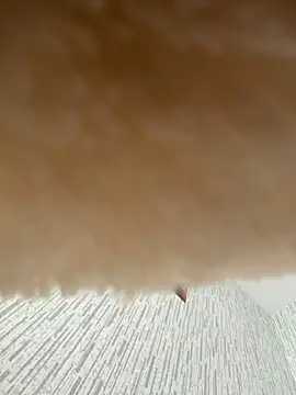 KiraSunshine webcam