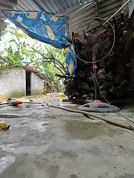 WeaklyMop