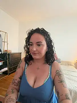 Les12coupsdeminuit webcam