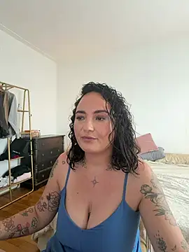 Les12coupsdeminuit webcam