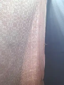 Burhade-- webcam