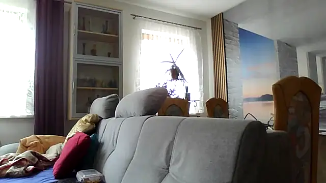 Geiler668 webcam
