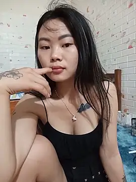 Lynk2x webcam