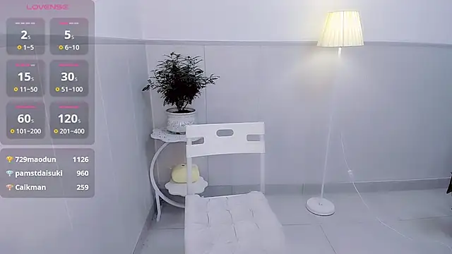 Wan-Yun-520 webcam