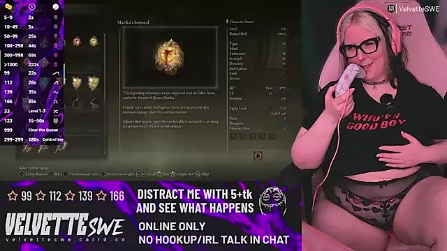 VelvetteSWE webcam