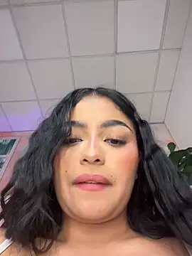 EvasBlazeXXX webcam