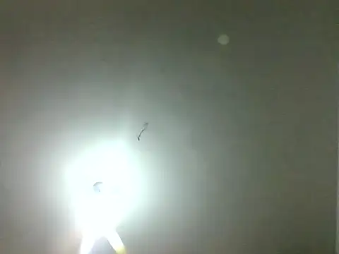Armorpie webcam