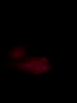 Jhon970711 webcam