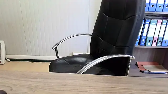 Evasionee webcam