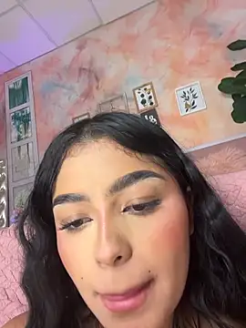 EvasBlazeXXX webcam