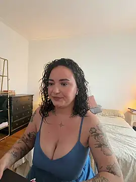 Les12coupsdeminuit webcam