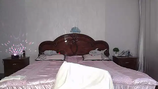 Batari webcam