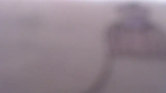 lelapopins webcam