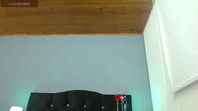williamshops_X webcam