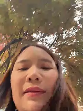 yueyuesse webcam