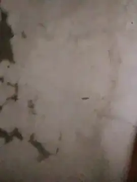 Thobaby112 webcam