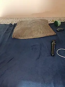 lineras webcam