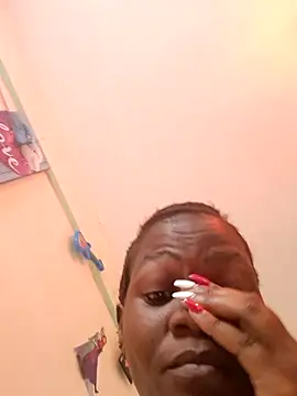 meshje webcam
